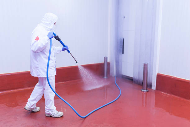 Trusted Oak Grove, MO Pressure Washing Services Experts