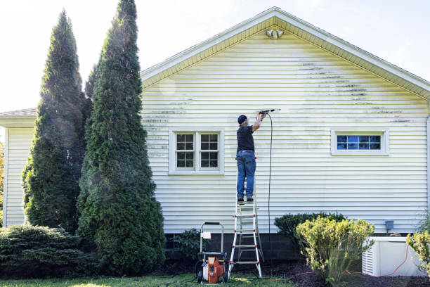 Best Driveway Pressure Washing  in Oak Grove, MO